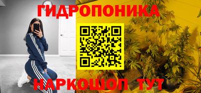 прущие грибы Бузулук