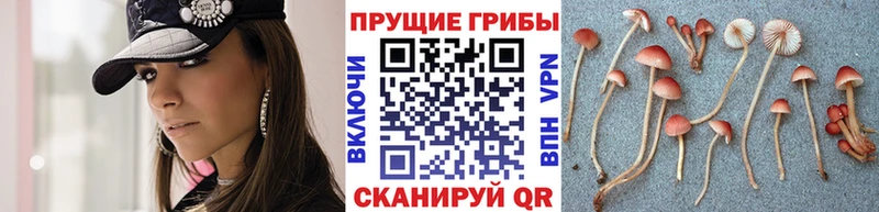 Галлюциногенные грибы Magic Shrooms  Дзержинск 