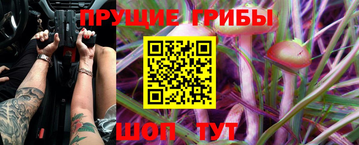 Галлюциногенные грибы GOLDEN TEACHER Дзержинск