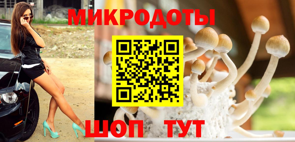 Псилоцибиновые грибы Cubensis Дзержинск