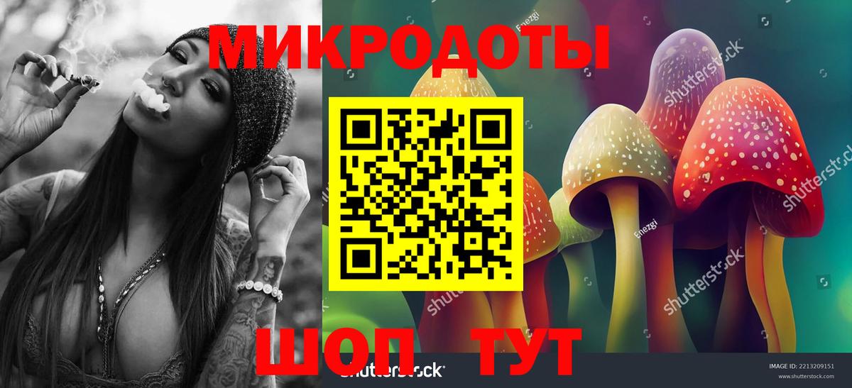 Дзержинск  Псилоцибиновые грибы Cubensis  Вход с VPN 